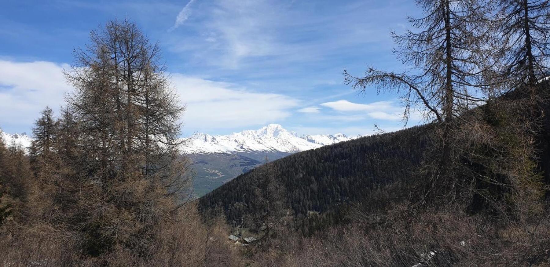 Residence Plagne Lauze - Maeva Home - Studio 2 Personnes - Selection Mae-9201 Macot-la-Plagne المظهر الخارجي الصورة